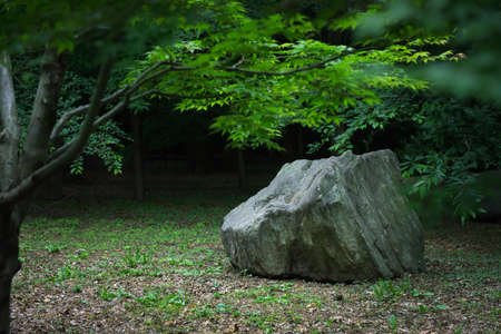 Arrayの写真素材