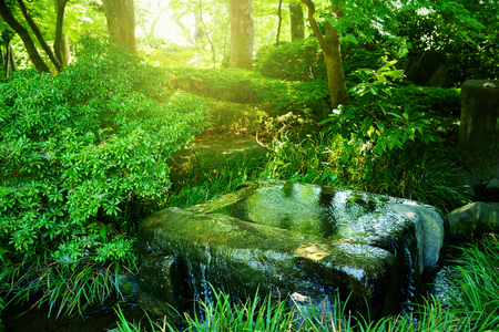 Well spring water, Tokyo garden.の写真素材