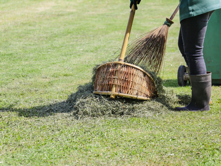 gardener use natural broom and dust pan to sweep grass leaves after lawn trimming or female garden...