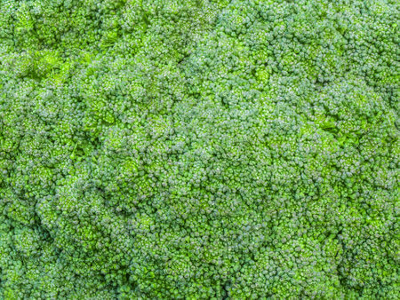 green nature background a broccoli flowers by closeup surface of fresh green cabbage flower buds for salad and healthy food ingredient from organic vegetable farmingの写真素材
