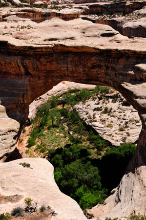 Sipapu bridge at Natural Bridges National Monumentの写真素材