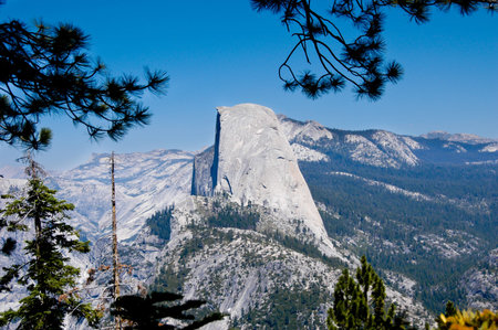 Half Dome in Yosemite National Park framed by pine branch.