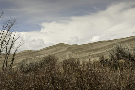 Great Sand Dunes National Park, Coloradoの写真素材