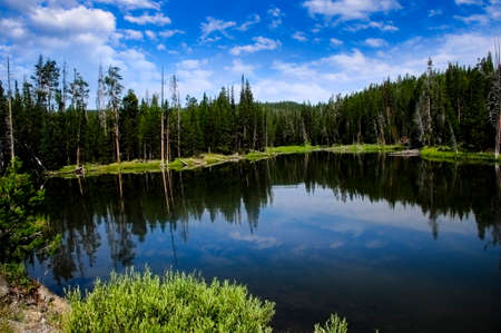 Lake at Yosemite National Park with reflections of trees and cloudsの写真素材