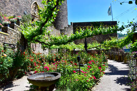 The gardens at the Medieval Castle Rheinstein in Germanyのeditorial素材