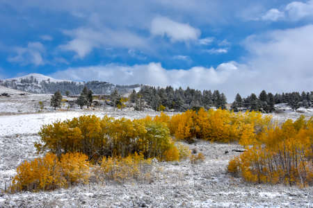 A dusting of snow in fall at Yellowstone National Park.の写真素材