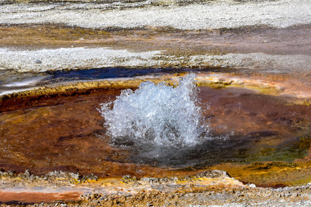 Geyser erupting at Black Sand Basin in Yellowstone National Park.の写真素材