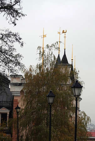 Kiev, Ukraine November 28, 2020: Architectural decoration of the building of the puppet theater with golden spiers with weather vane in the city of Kievのeditorial素材