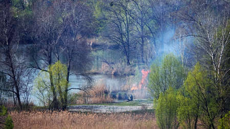 Kiev, Ukraine April 1, 2020: set fire to dead wood near a lake in the center of Kievのeditorial素材