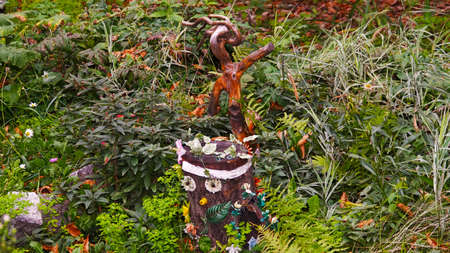 The stump in my garden turned into a fairytale heroのeditorial素材