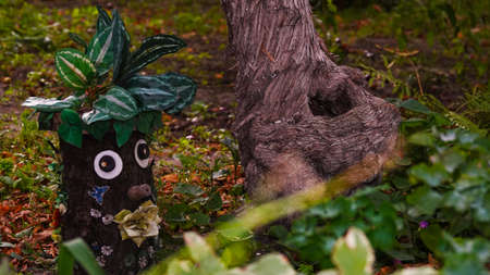 The stump in my garden turned into a fairytale heroのeditorial素材