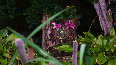 The stump in my garden turned into a fairytale heroのeditorial素材