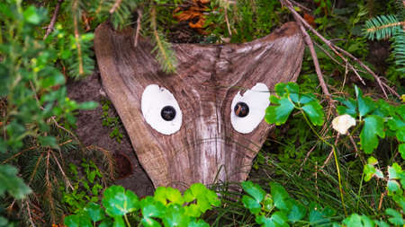 The stump in my garden turned into a fairytale heroのeditorial素材