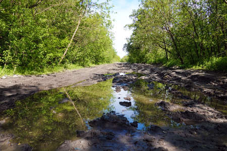 An impassable dirt road among trees in a thicket of forestのeditorial素材
