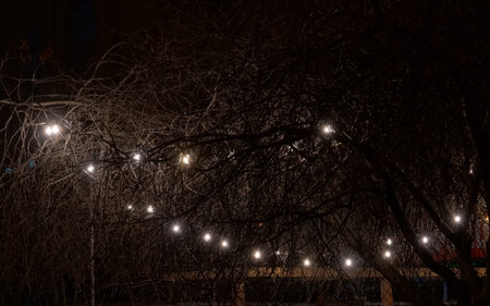 Kiev, Ukraine December 12, 2019: Night garlands and festive lighting of the city of Kiev