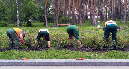 Kiev, Ukraine May 16, 2019: Communal service workers weed through a flowerbedのeditorial素材