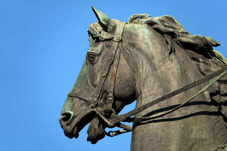 Kiev, Ukraine January 2, 2021: Monument to Shchors Nikolai Alexandrovich on horseback, the commander of the Ukrainian red formations, the head of the Red Army division during the civil warのeditorial素材