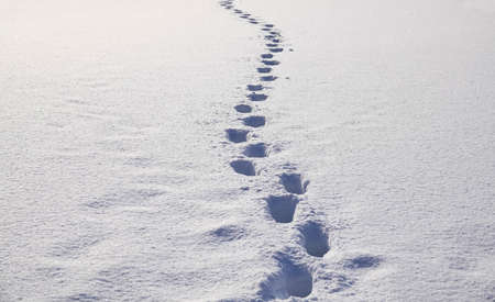 Human footprints in the snowの写真素材