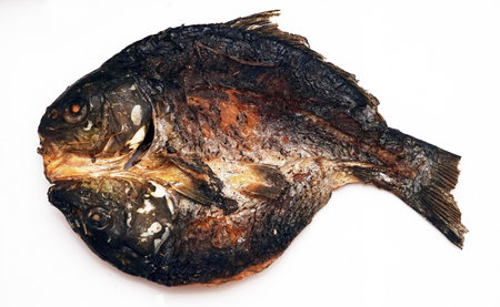 Dried fish in a rural oven according to an old Ukrainian recipeの写真素材