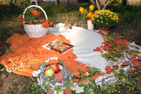 The fair is a Slavic holiday of trading an autumn selection of vegetables and fruitsの写真素材