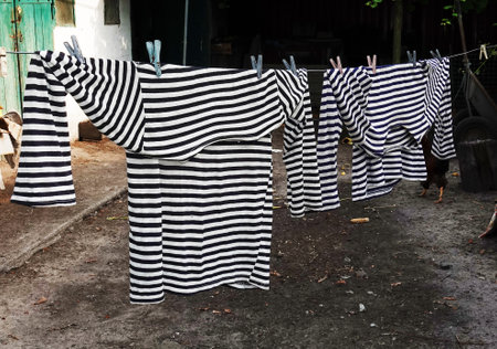 Washed sailor's striped shirts are drying on a rope in an old yardの写真素材