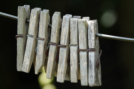 Old clothespins for washing clothes attached to a ropeの写真素材