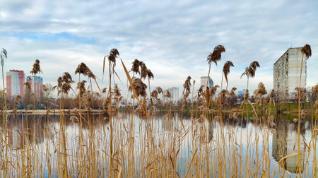 Lake on the left bank among the city blocks of Kyiv in early springの写真素材