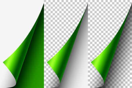 Curled Page Cornerのイラスト素材