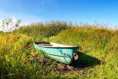 Green fishing plastic boat moored at the lake shore in summer dayの写真素材