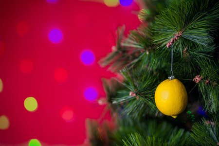 Vegan Christmas concert. Tree is decorated with fresh fruit. raw lemon on a pine branch on a red...