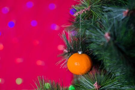 Vegan Christmas concert. Tree is decorated with fresh fruit. raw mandarin on a pine branch on a red background with bokeh. The idea of minimalism and eco-friendly celebration without waste. Copy spaceの写真素材