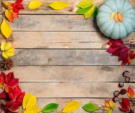Autumn wooden background with yellow-red and green leaves, pumpkin and chestnut. Composition on a natural table made of boards. Layout for seasonal offers and holiday cards. Top view. Flatlay.の写真素材