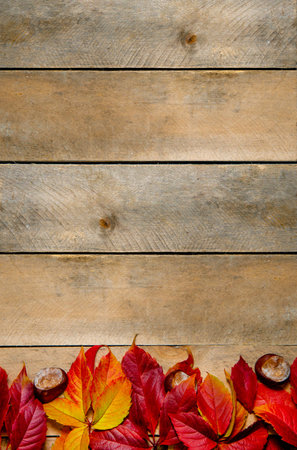 Autumn bright yellow-red leaves on a wooden background. With copy space. Composition of chestnuts...