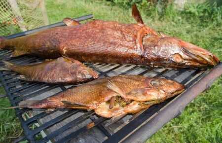 Homemade fish smokingの写真素材