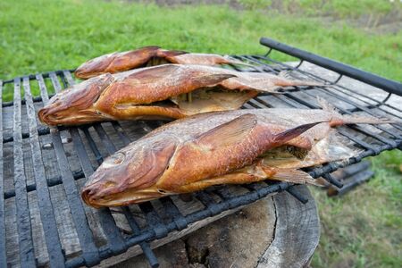 Homemade fish smokingの写真素材
