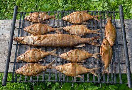 Homemade fish smokingの写真素材