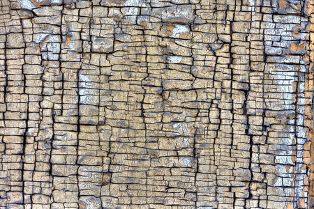 grunge wooden backgroundの写真素材