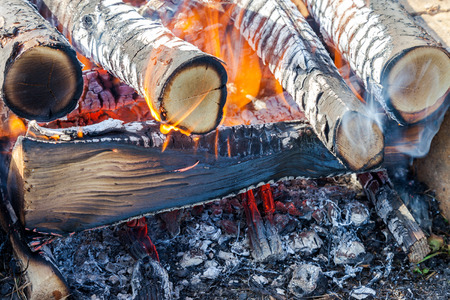 Closeup of hot burning firewood in campfireのeditorial素材