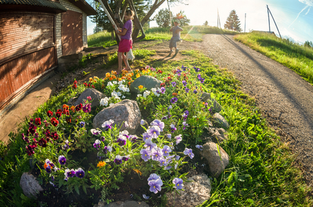 BOROVICHI, RUSSIA - JULY 4, 2014: Children swinging on the swing near the flowerbed in sunny summer dayのeditorial素材