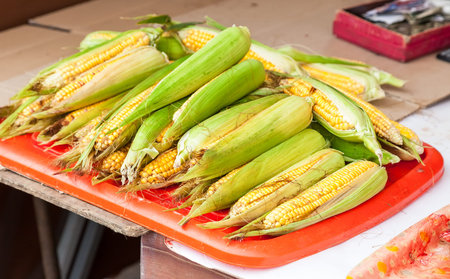 Fresh raw corn ready to sale at the farmers market