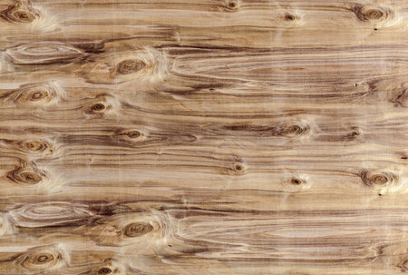 Wood texture with natural patterns