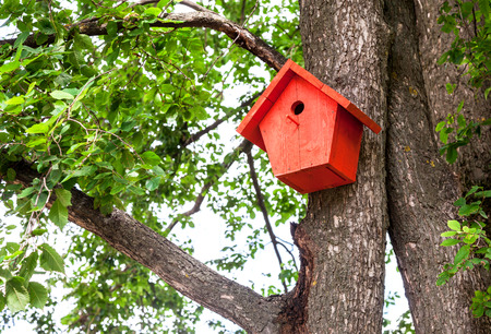 Red birdhouse hanging from a treeの写真素材