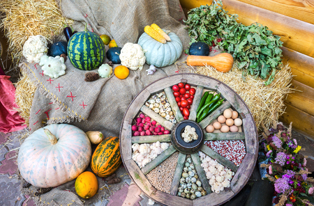 Agriculture harvested various colorful fresh vegetables. Thanksgiving day. Autumnの写真素材