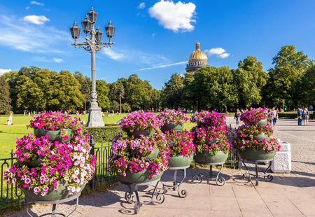 St. Petersburg, Russia - July 31, 2016: Beautiful petunia flowers in big flowerpot in sunny day against the St. Isaac Cathedralのeditorial素材