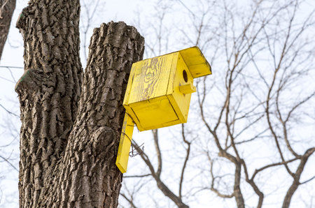 Wooden yellow birdhouse on a high tree in winter park