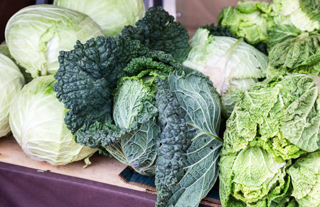 Green fresh cabbage of new harvest ready to sale at the farmers marketの写真素材
