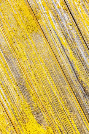 Old rough wooden boards with cracks as background. Wooden planks texture with the shabby yellow paintの写真素材