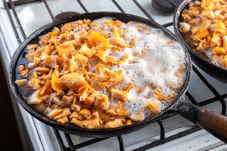 Mushrooms chanterelles are fried in an old cast-iron panの写真素材