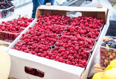 Sweet fresh raspberries of new harvest ready to sale at the local farmers marketの写真素材