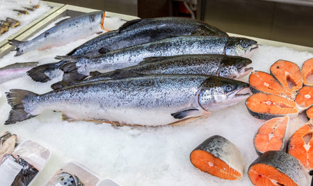 Salmon fish n the counter in ice. Raw red fish for sale. Seafood shop